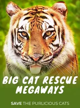 mg99 club Red Tiger เว็บตรง Big Cat Rescue Megaways